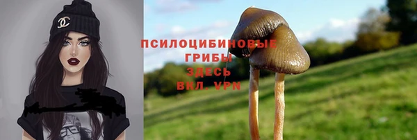 мдпв Балабаново