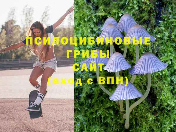 гашик Баксан