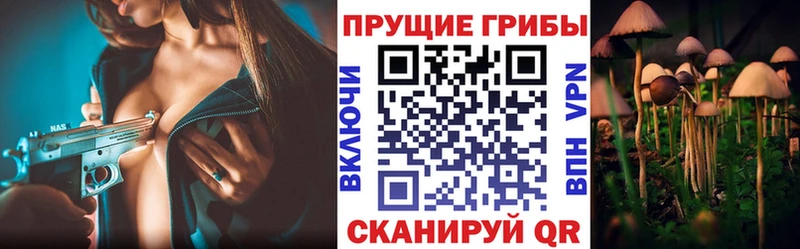 Псилоцибиновые грибы ЛСД  Спас-Клепики 